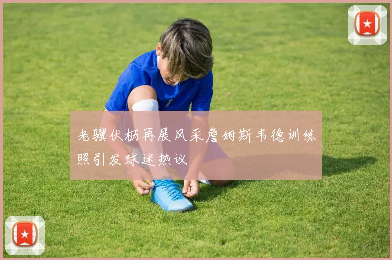 老骥伏枥再展风采詹姆斯韦德训练照引发球迷热议