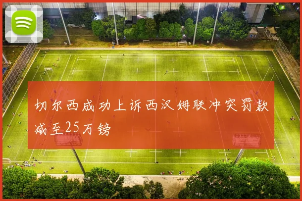 切尔西成功上诉西汉姆联冲突罚款减至25万镑