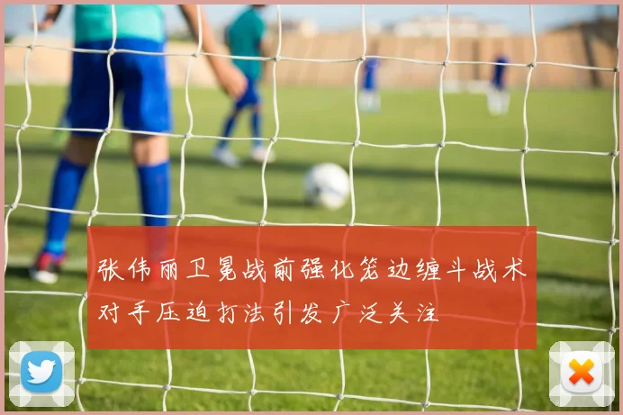 张伟丽卫冕战前强化笼边缠斗战术对手压迫打法引发广泛关注