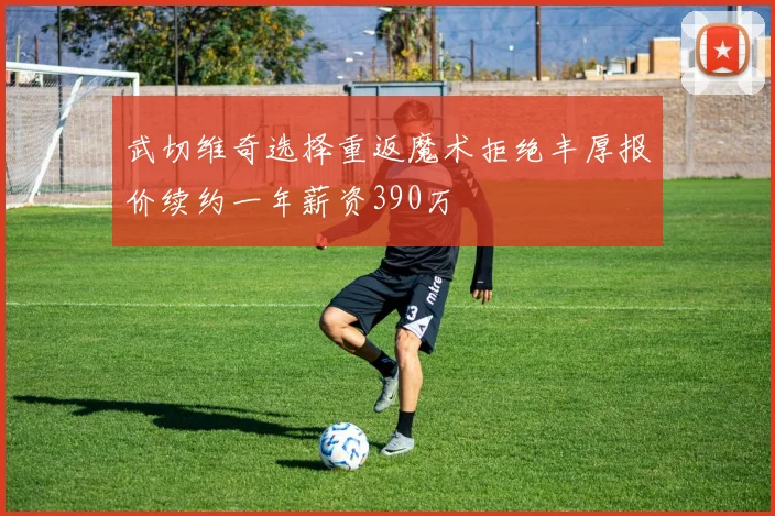 武切维奇选择重返魔术拒绝丰厚报价续约一年薪资390万